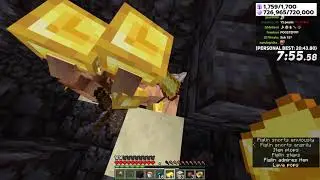 TapL New PB 17:33 | Minecraft RSG