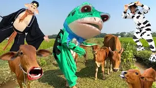 Con bò - Con bò con - Nhạc con bò - Con bò ăn cỏ - Bài hát con bò #conbo