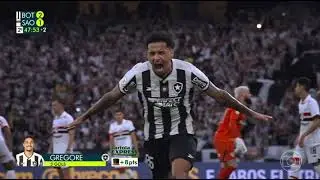 GOL DO TÍTULO - BOTAFOGO 2 X 1 SÃO PAULO - BRASILEIRÃO 2024