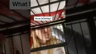 What do? а попугай то умный 🤣 #shorts  #юмор