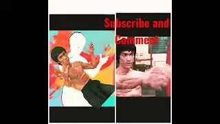 Bruce Lee the Legend martial arts