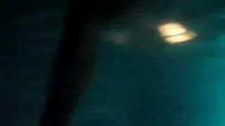 devon's ass