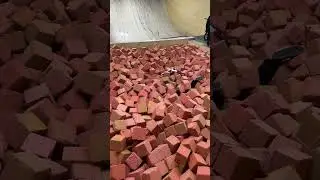 Что-то пошло не так 