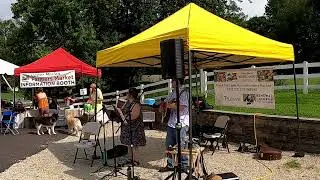 Fricknadorable at Norview Farm Park - Stealin' (Memphis Jug Band)