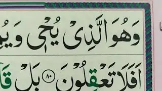 Live Quran Class
