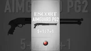 Hatsan ESCORT AIMGUARD #shorts #hatsan #hatsanescort #shotguns #outdoors #aimguard #pumpaction