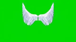 WINGS GREEN SCREEN