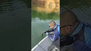 Pesca de black bass en la represa de Guatape - Colombia