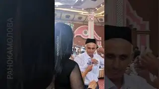 УЗБЕКСКАЯ СВАДЬБА #shorts #short #shortvideo #узбекистан #джизак #ранокамолова