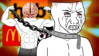 Stop Being A Slave To Your Brain
