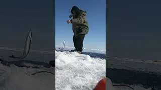 ПО БАЙКАЛУ В ТАПОЧКАХ SHORTS#