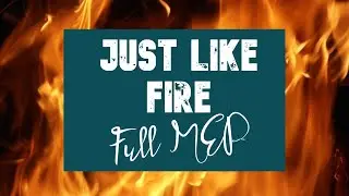 Dog & Cat MEP - Just like Fire