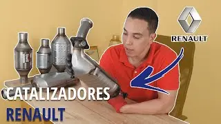 Catalytic converter for Renault Clio, Logan, Symbol, Mégane, Twingo, and other models - CELERID.COM