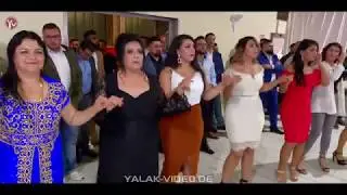 Yasmin & Özgür - Yalak Video - Xemgin Neco + Klameddin Neco