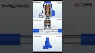 Thermostatic Bimetal Trap--Jiangheng Valve Industry #valve  #machinery  #pipeline  #industrial