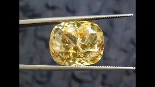 20 15 Ct Natural Yellow Sapphire Gemstone Cushion Shape | Sri Lanka | Calima Gems & Jewellery