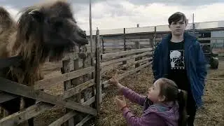 В гостях , на Хуторе. Пообщались с  настоящим верблюдом!!! Собака пекинес, просто чудо!