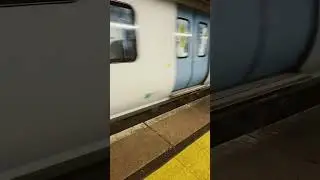 Train! 