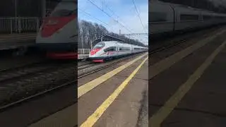 Сапсан летит