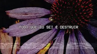 ängie - dust (tradução pt-br)