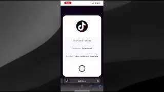 КАК УСТАНОВИТЬ ТИК ТОК НА АЙФОН БЕЗ VPN