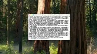 NTFS sur MacOS gratuit !