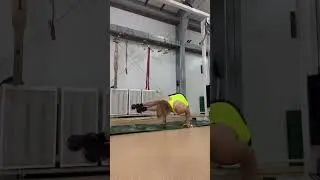Йога баланс #асаны #йога #открытаяйога