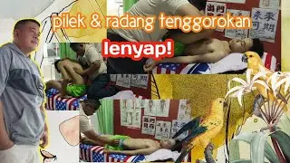Hilangkan pilek dan radang tenggorokan/terapi pijat