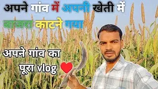 Bajra की फसल काटकर कुछ ऐसा हुआ | Bajra Harvesting Stories in Hindi