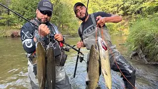 Pesca De Monstruos De Rio , Michigan Pesca De Salmon 2023 Pesca Cocina Y Más