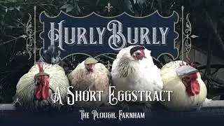 Hurly Burly Eggstracts from the Plough