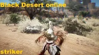 [BLACK DESERT] STRIKER - my stream | BDO | MMORPG| БДО