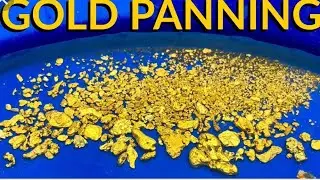 My gold so far