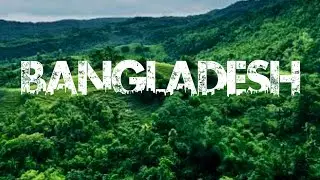 viral name edit pixellab tutorial how to create viral name urban jungle font video edit