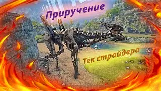 ARK. Тек Страйдер как отличный старт для выживания