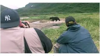 Photo Quest Adventures Alaska: Katmai Brown Bears