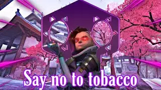 Overwatch but i cant speak english...