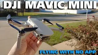 DJI Mavic Mini Flying with No App