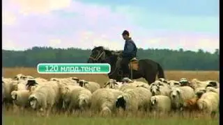 АККказ)
