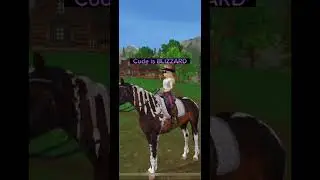 New code in star stable! 