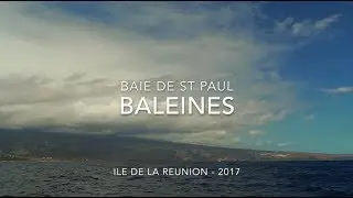 Baleines - 2017 | Whales