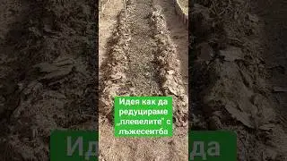 Как да намалим плевелите между култивираните насаждения. лъжесеитба