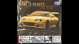 HVZVRD & S3NPV1 - What Is Beauty