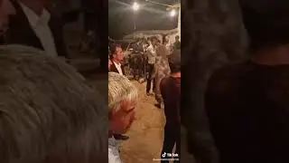 Табрикоти туёна