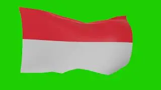 Video Green Screen Flag Indonesia 