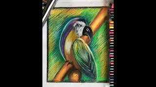 Рисуем попугая.