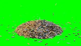 Chocolate bar footage green screen