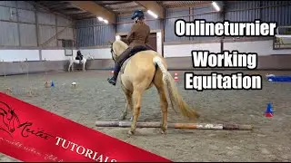 ich Kommentiere mein erstes Onlineturnier Klasse WA Trail  mit Protokoll // Reitertutorials