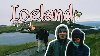 Iceland Adventure | Puffin Watching + Hitchhiking | Vlog#5