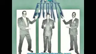 The Escorts -  Hands On You  effect = RADIO BEST MUSIC